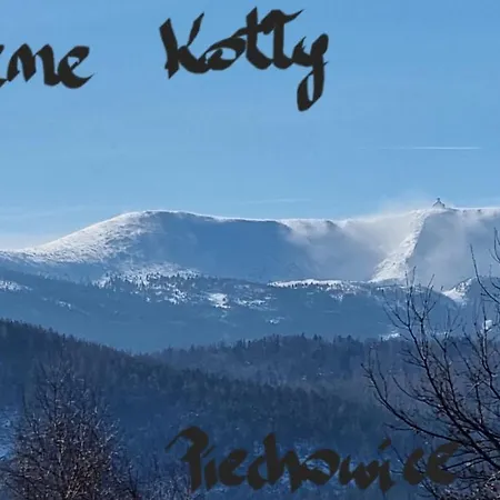 Daire Apartament Luxloft Piechowice (Karkonosze)