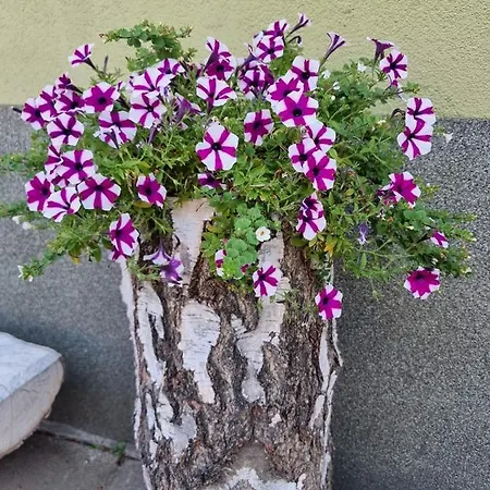 Daire Apartament Luxloft Piechowice (Karkonosze)