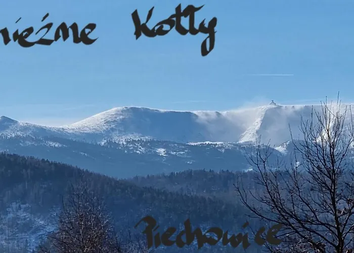 Apartment Apartament Luxloft Piechowice (Karkonosze)