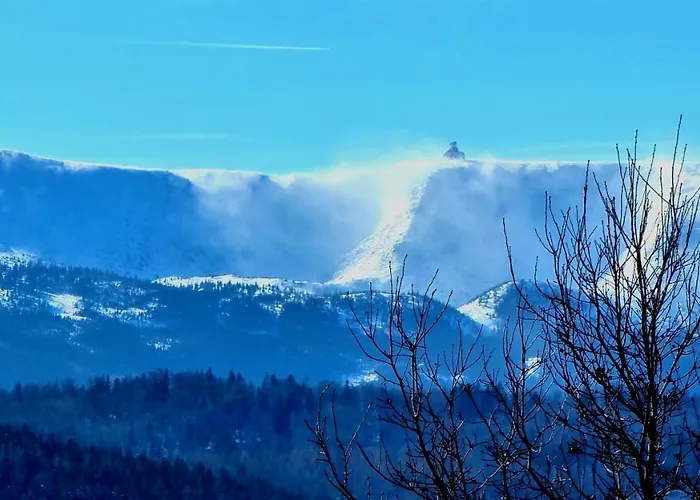 Apartament Apartament Luxloft *