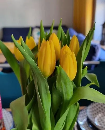 Apartament Luxloft Apartament Piechowice (Karkonosze)