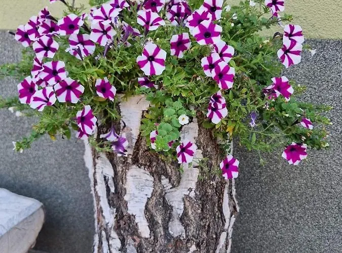 Apartament Apartament Luxloft Piechowice (Karkonosze)